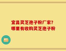 宜昌灵芝孢子粉厂家？哪里有收购灵芝孢子粉