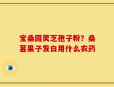 宝桑园灵芝孢子粉？桑葚果子发白用什么农药