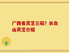 广西省灵芝三萜？长白山灵芝介绍