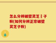 怎么分辨破壁灵芝砲子粉(如何分辨正宗破壁灵芝子粉)