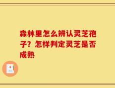 森林里怎么辨认灵芝孢子？怎样判定灵芝是否成熟