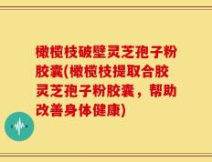 橄榄枝破壁灵芝孢子粉胶囊(橄榄枝提取合胶灵芝孢子粉胶囊，帮助改善身体健康)