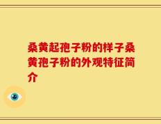 桑黄起孢子粉的样子桑黄孢子粉的外观特征简介
