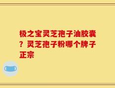 极之宝灵芝孢子油胶囊？灵芝孢子粉哪个牌子正宗