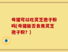 母猪可以吃灵芝孢子粉吗(母猪能否食用灵芝孢子粉？)