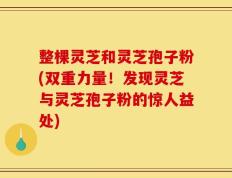 整棵灵芝和灵芝孢子粉(双重力量！发现灵芝与灵芝孢子粉的惊人益处)