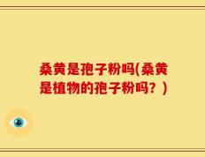 桑黄是孢子粉吗(桑黄是植物的孢子粉吗？)