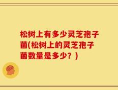 松树上有多少灵芝孢子菌(松树上的灵芝孢子菌数量是多少？)