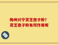 梅州兴宁灵芝孢子粉？灵芝孢子粉有何作用呢
