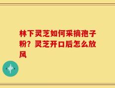 林下灵芝如何采摘孢子粉？灵芝开口后怎么放风