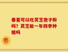 春夏可以吃灵芝孢子粉吗？灵芝能一年四季种植吗