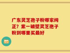广东灵芝孢子粉哪家纯正？紫一破壁灵芝孢子粉到哪里买最好