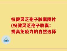 权健灵芝孢子胶囊图片(权健灵芝孢子胶囊：提高免疫力的自然选择