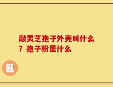 敲灵芝孢子外壳叫什么？孢子粉是什么