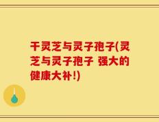 干灵芝与灵子孢子(灵芝与灵子孢子 强大的健康大补!)