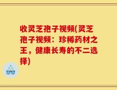 收灵芝孢子视频(灵芝孢子视频：珍稀药材之王，健康长寿的不二选择)