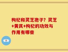 枸杞和灵芝孢子？灵芝+黄芪+枸杞的功效与作用有哪些