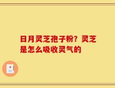 日月灵芝孢子粉？灵芝是怎么吸收灵气的