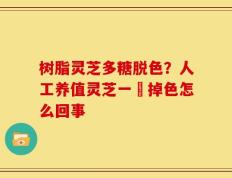 树脂灵芝多糖脱色？人工养值灵芝一抺掉色怎么回事