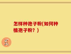 怎样种孢子粉(如何种植孢子粉？)