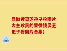 显微镜灵芝孢子粉图片大全珍贵的显微镜灵芝孢子粉图片合集)