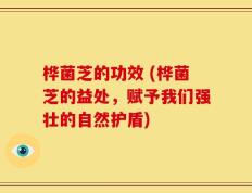 桦菌芝的功效 (桦菌芝的益处，赋予我们强壮的自然护盾)
