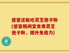 感冒还能吃灵芝孢子粉(感冒期间宜食用灵芝孢子粉，提升免疫力)