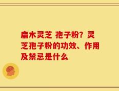扁木灵芝 孢子粉？灵芝孢子粉的功效、作用及禁忌是什么