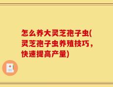 怎么养大灵芝孢子虫(灵芝孢子虫养殖技巧，快速提高产量)