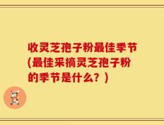 收灵芝孢子粉最佳季节(最佳采摘灵芝孢子粉的季节是什么？)