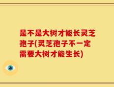 是不是大树才能长灵芝孢子(灵芝孢子不一定需要大树才能生长)