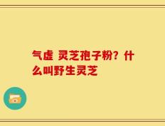 气虚 灵芝孢子粉？什么叫野生灵芝