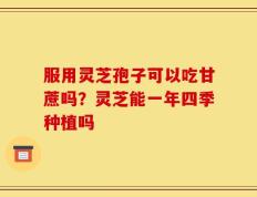 服用灵芝孢子可以吃甘蔗吗？灵芝能一年四季种植吗