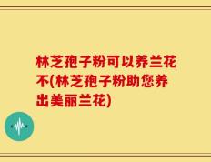 林芝孢子粉可以养兰花不(林芝孢子粉助您养出美丽兰花)
