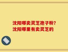 沈阳哪卖灵芝孢子粉？沈阳哪里有卖灵芝的