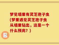 梦见墙里有灵芝孢子虫(梦里遇见灵芝孢子虫从墙里钻出，这是一个什么预兆？)