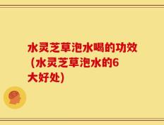 水灵芝草泡水喝的功效 (水灵芝草泡水的6大好处)
