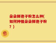 朵朵鲜孢子粉怎么种(如何种植朵朵鲜孢子粉？)