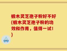 椴木灵芝孢子粉好不好(椴木灵芝孢子粉的功效和作用，值得一试！)