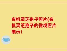 有机灵芝孢子照片(有机灵芝孢子的微观照片展示)
