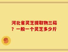 河北省灵芝提取物三萜？一般一个灵芝多少斤