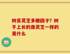 树舌灵芝多糖因子？树干上长的像灵芝一样的是什么