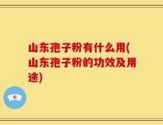 山东孢子粉有什么用(山东孢子粉的功效及用途)