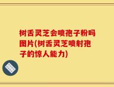 树舌灵芝会喷孢子粉吗图片(树舌灵芝喷射孢子的惊人能力)