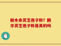椴木赤灵芝孢子粉？鹊华灵芝孢子粉是真的吗
