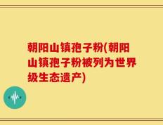 朝阳山镇孢子粉(朝阳山镇孢子粉被列为世界级生态遗产)