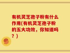 有机灵芝孢子粉有什么作用(有机灵芝孢子粉的五大功效，你知道吗？)