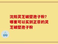 沈阳灵芝破壁孢子粉？哪里可以买到正宗的灵芝破壁孢子粉