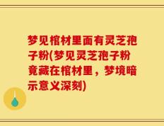 梦见棺材里面有灵芝孢子粉(梦见灵芝孢子粉竟藏在棺材里，梦境暗示意义深刻)