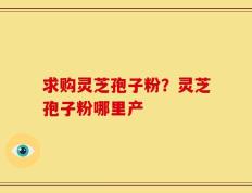 求购灵芝孢子粉？灵芝孢子粉哪里产